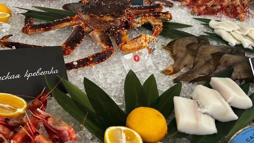 источник: https://forumvostok.ru/thematic-areas/fishhouse/