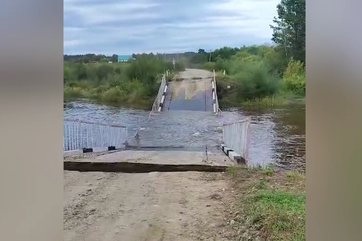     / Источник: © Соцсети. Кадр из видео