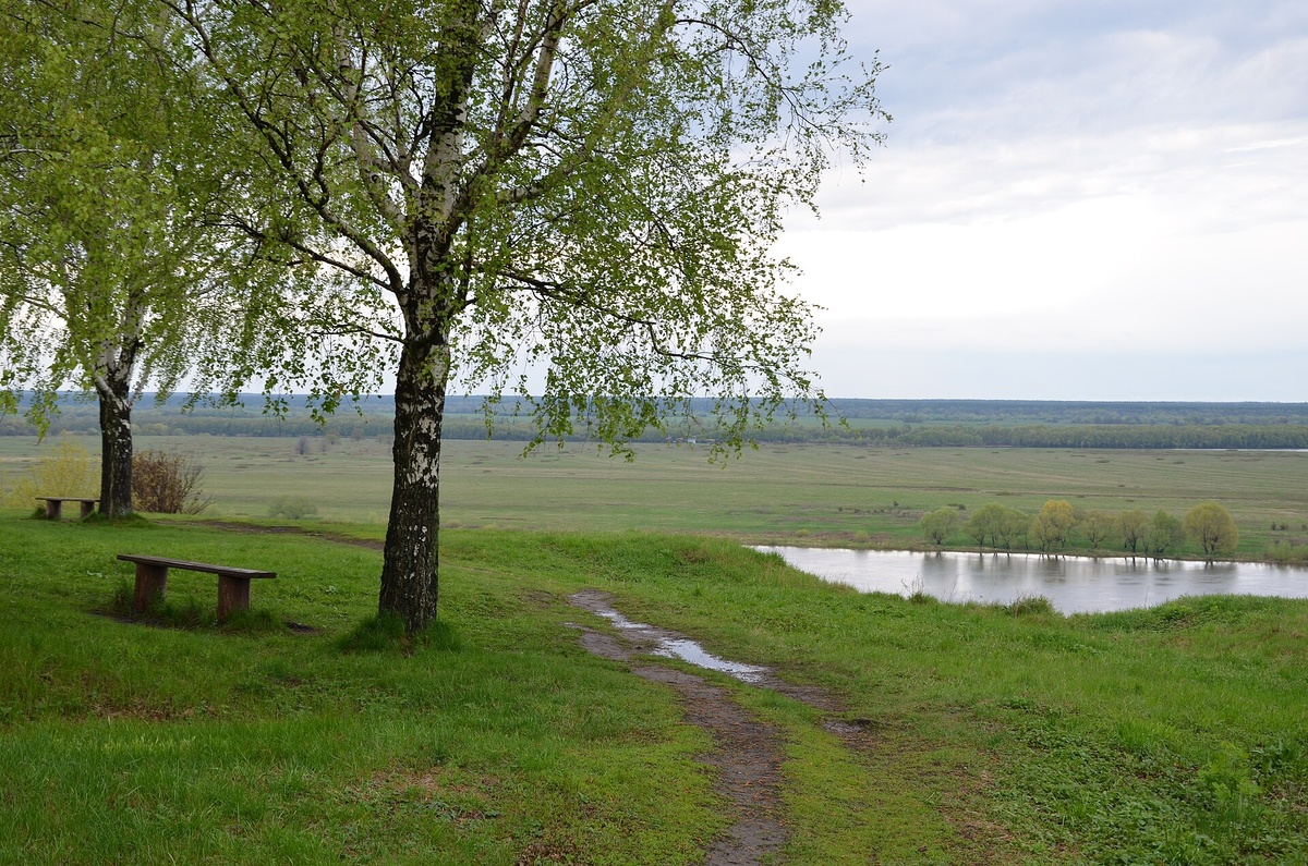 Высокий берег Оки. С сайта ru.wikipedia.org