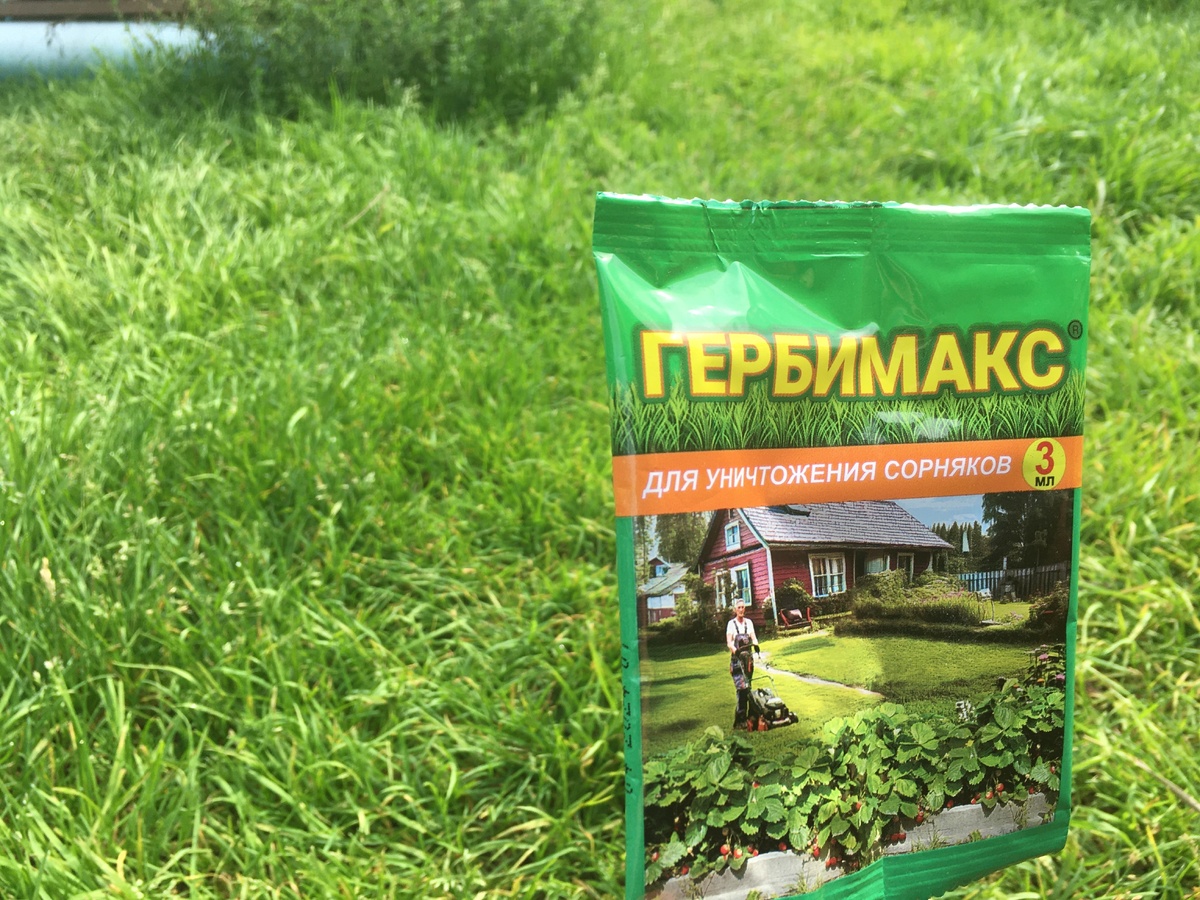    Газон без сорняков с «Гербимакс» — это просто!