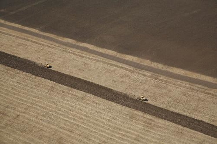    Фото: Комитет сельского хозяйства Волгоградской области