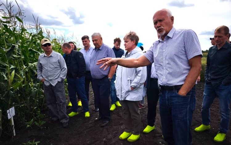    Фото: ФГБНУ «Уральский федеральный аграрный научно-исследовательский центр УрО РАН»