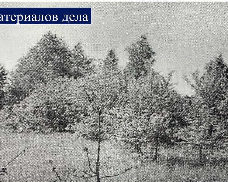     Курская компания заплатит за неиспользование сельхозземель в Рязанской области