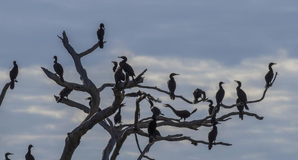    Matthias Graben/imageBROKER.com / www.globallookpress.com