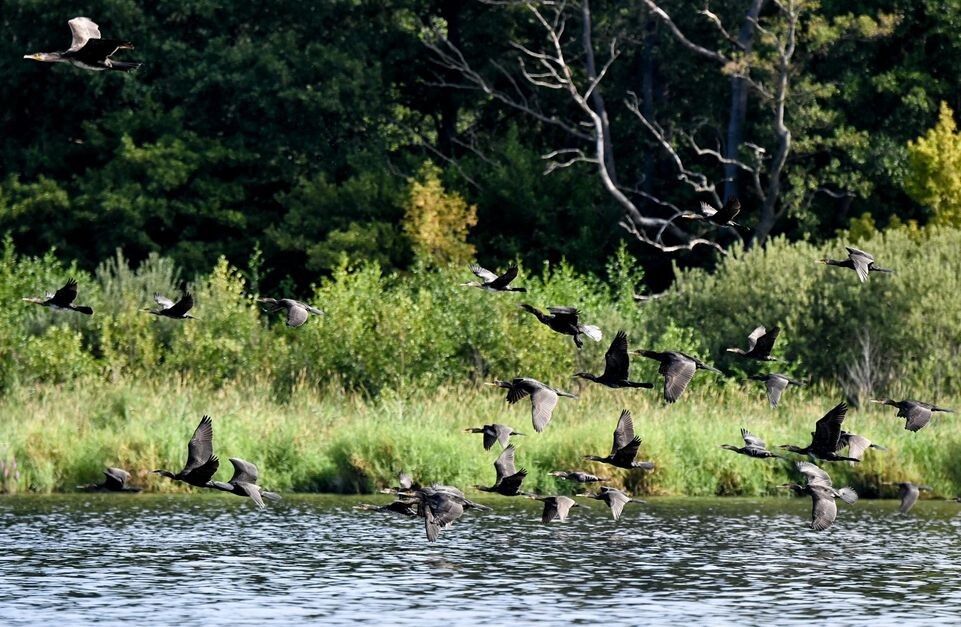    Matthias Graben/imageBROKER.com / www.globallookpress.com