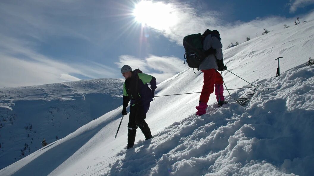    Фото: Miroslav Kushnirenko/Russian Look/Globallookpress