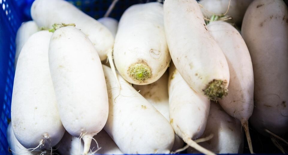    Ilya Moskovets/URA.RU / www.globallookpress.com