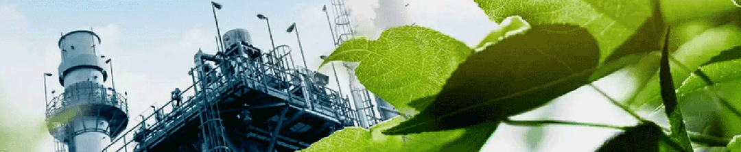 10 трендов новогодних подарков-2026 и ESG-миссии компаний