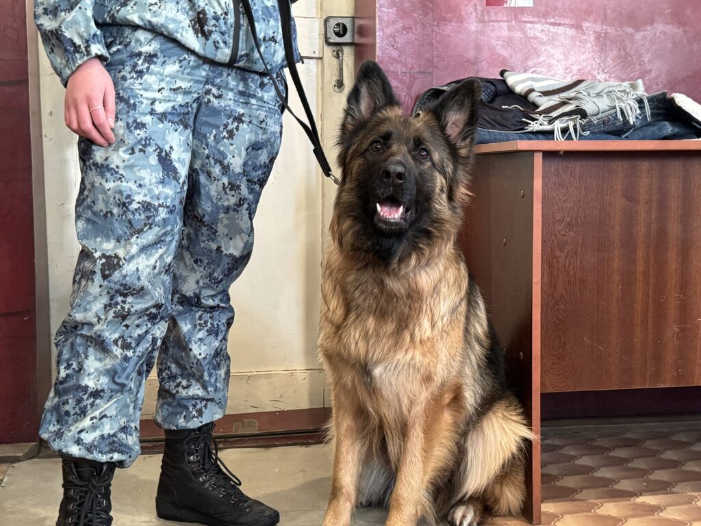    Фото: v-kurse.ru Ольга Гилёва