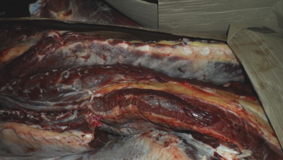    Автор фото: Россельхознадзор.