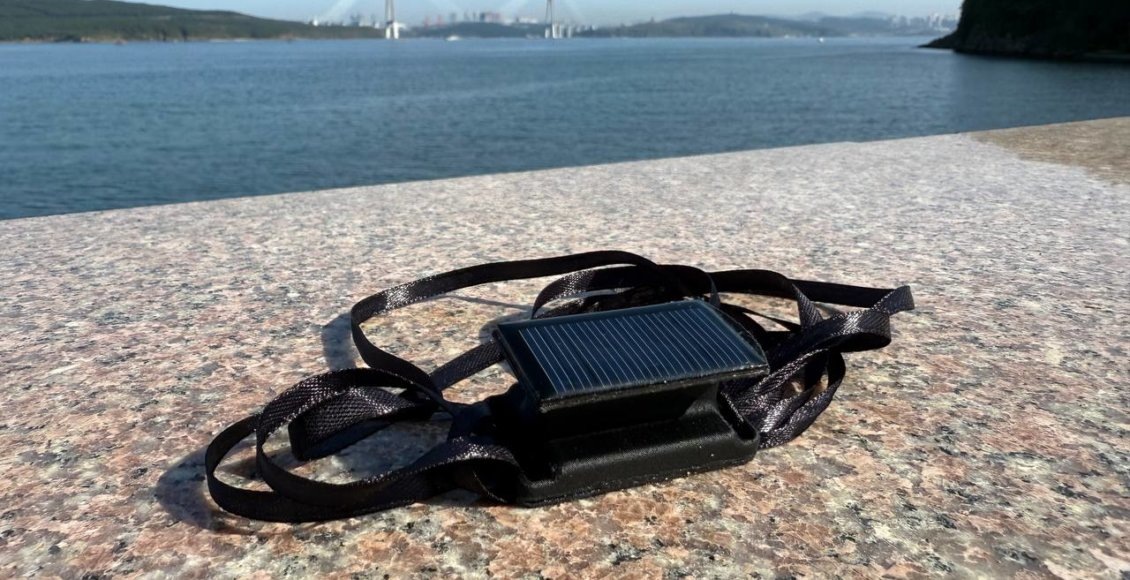    Фото: пресс-служба Росзаповедцентра Минприроды России