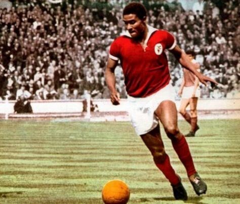 На поле черная пантера.