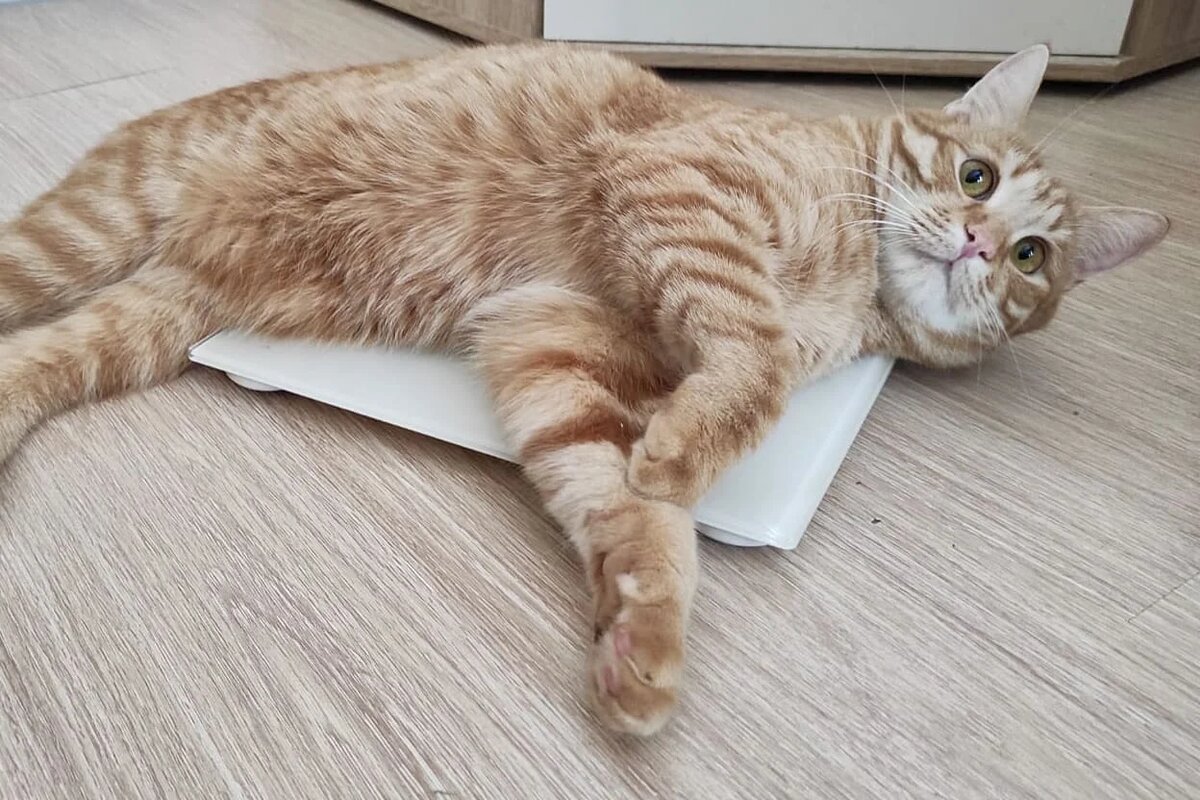 Фото: UfaTime.ru