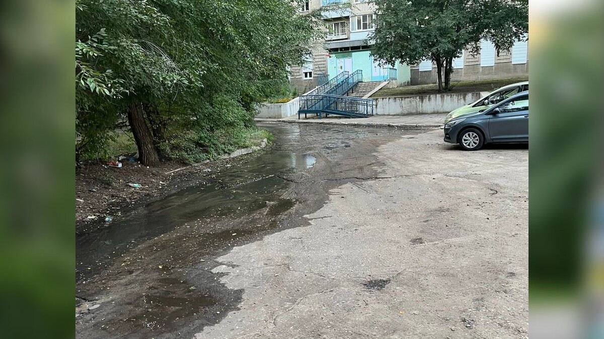    Фекальный потоп у Дома детского творчества в Воронеже вызывает обеспокоенность