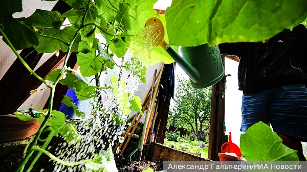 Фото: Александр Гальперин/РИА Новости. Tекст: Ольга Никитина