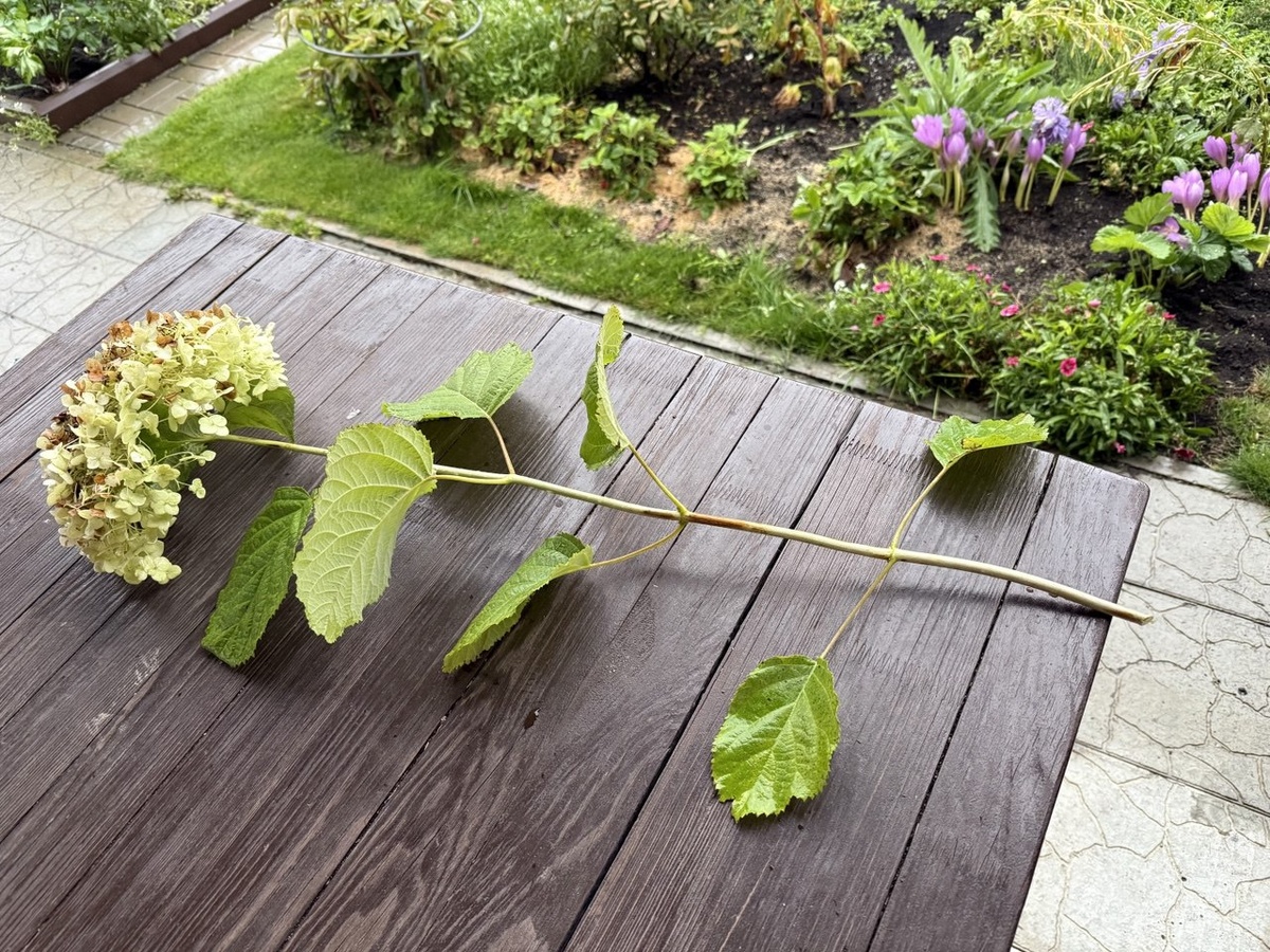 Фото из личного архива