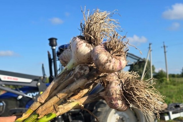   Фото: Сергей Кошевой, «ВКонтакте»