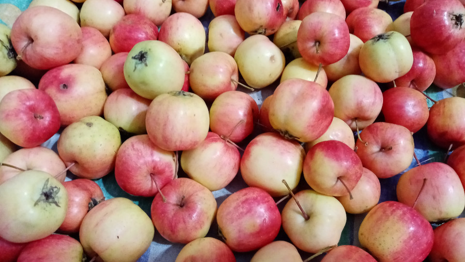 Ранетки для обсыхания на полотенце