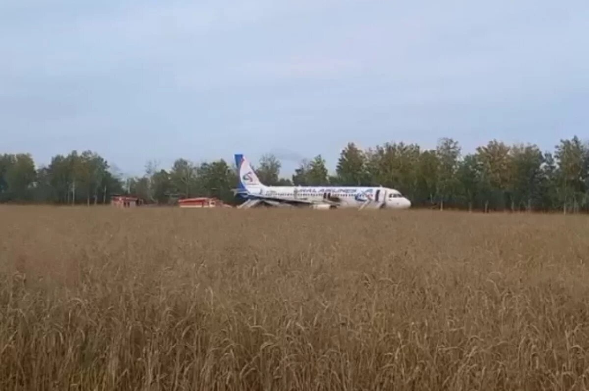    Уголовное дело против посадившего самолет в поле НСО пилота направили в суд