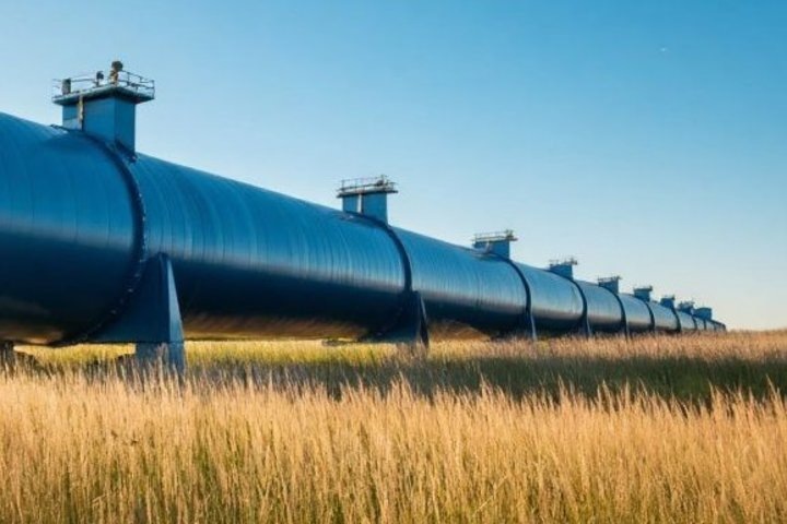   сгенерировано при помощи нейросети «Шедеврум»