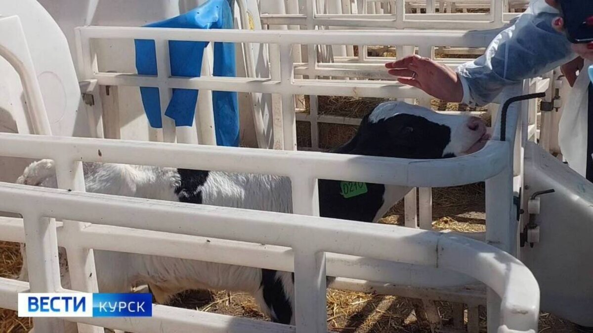    Итоги поездки Александра Хинштейна в Железногорский район