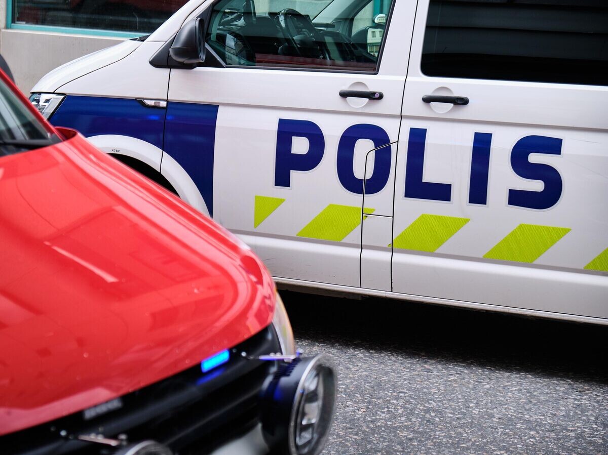    Автомобиль полиции в Финляндии© iStock.com / Lev Karavanov