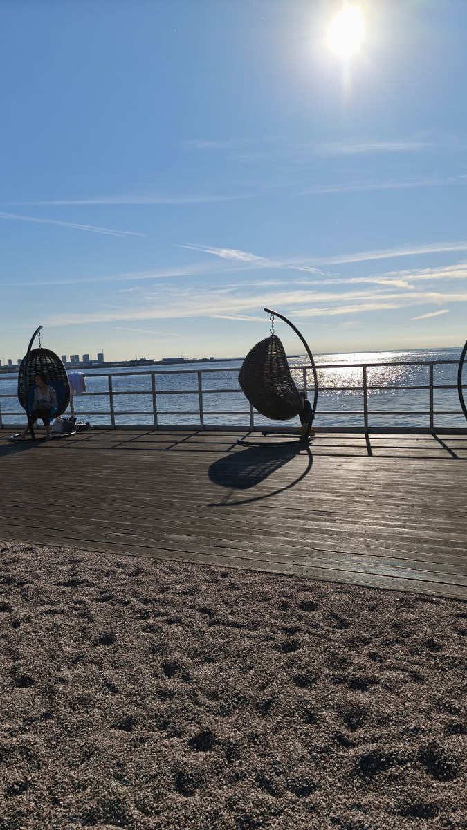 Общественное пространство "Флагшток" - Питер, поребрик и коты