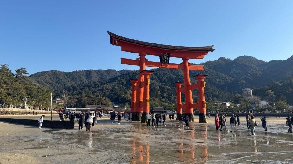 Как съездила в Японию на 10 дней: виза, расходы и подробный маршрут