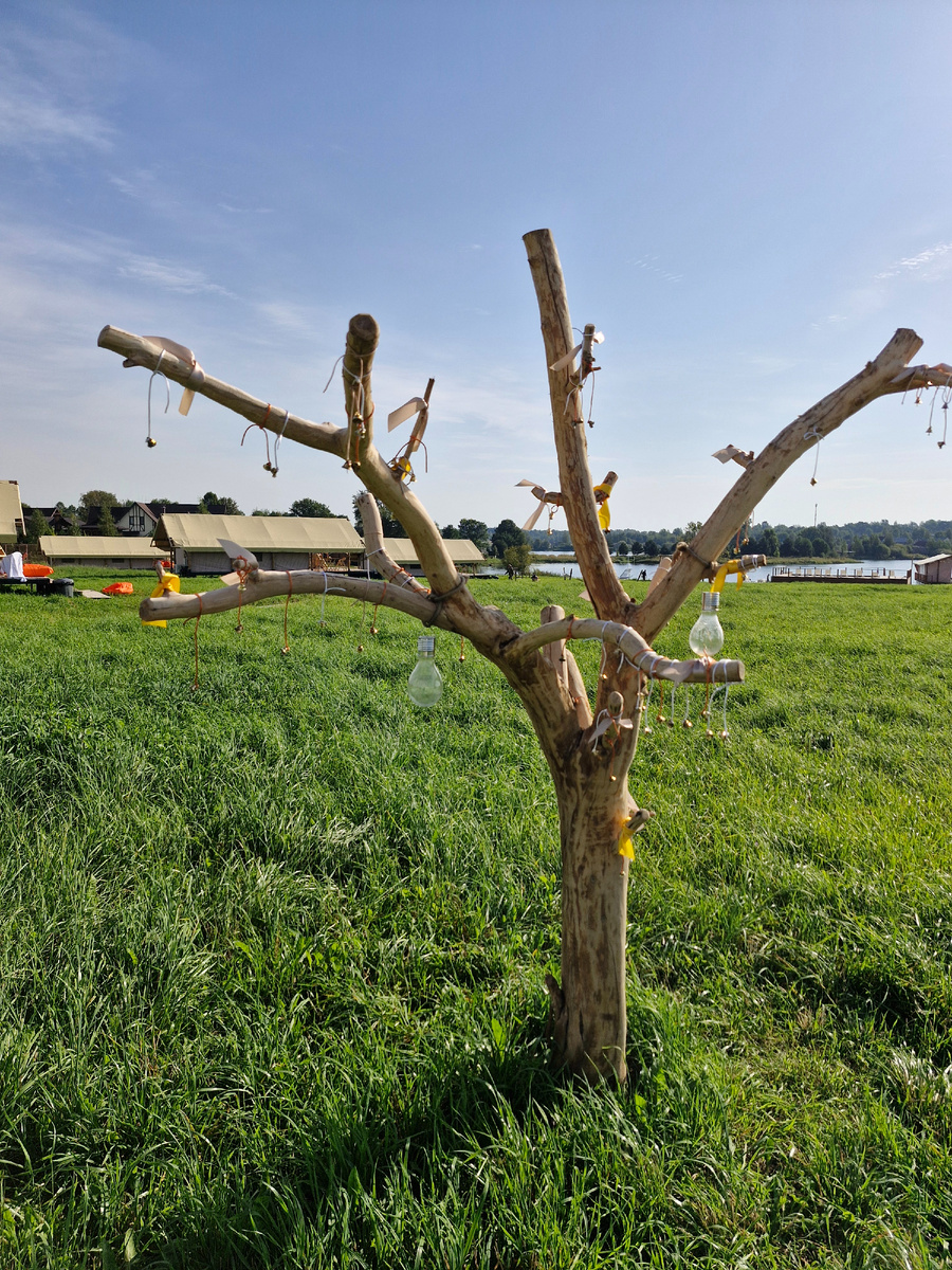 Дерево желаний 