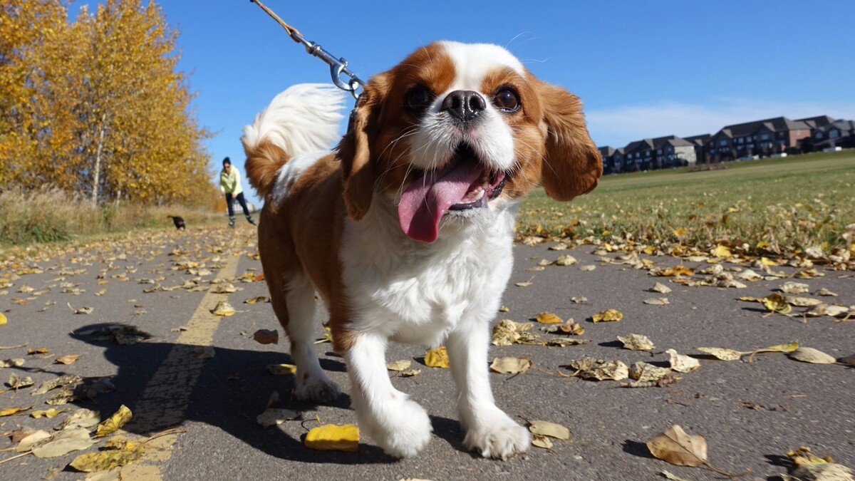    Фото: Geoff Hardy / Shutterstock / Fotodom