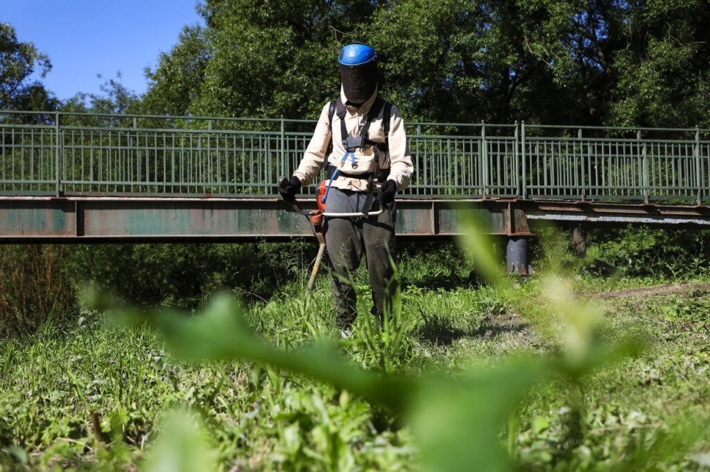 Фото: telegram.org / Сергей Петриченко