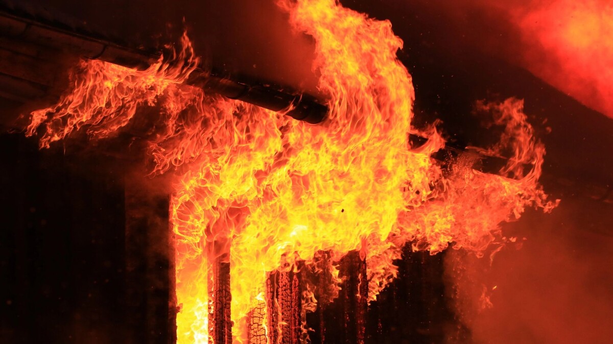    Фото: Mattias Bokinge /Shutterstock / Fotodom