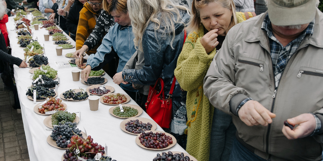 Праздник Винограда