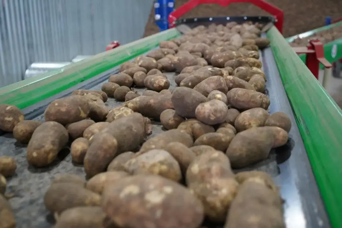    Фото: Мираторг