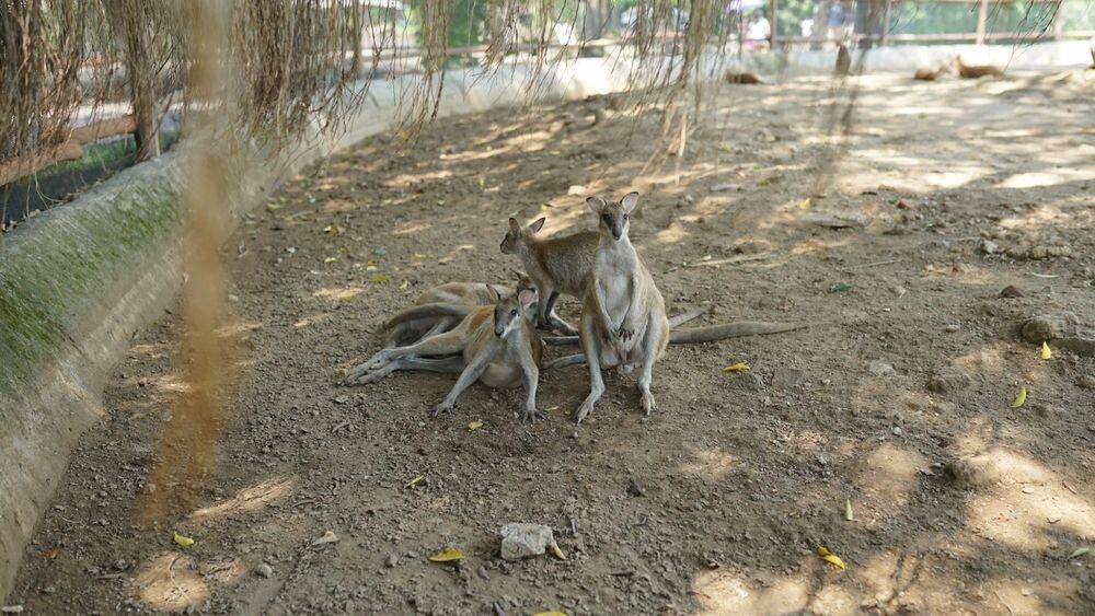    Фото: agenk design/Shutterstock/Fotodom