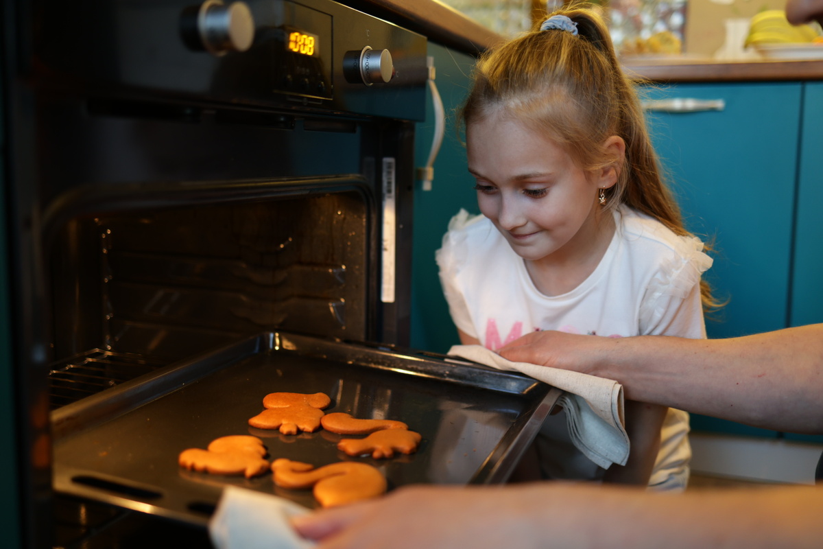 Газовая духовка не подойдет любителям выпечки. Фото: Gasfoto.ru