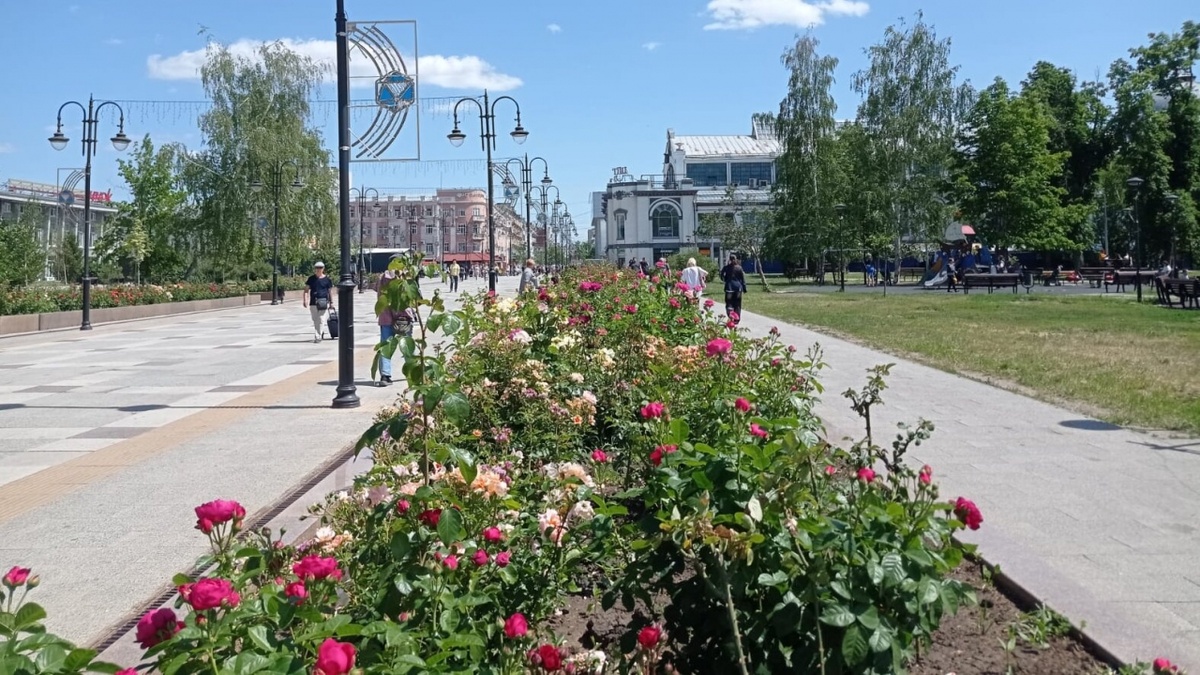    Зарплаты от 100 тысяч: Саратовская область не попала в топ-19 регионовНовости Саратова и области – Сетевое издание «Репортер64»