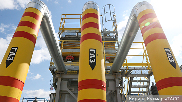     Фото: Кирилл Кухмарь/ТАСС   
 Текст: Елизавета Шишкова