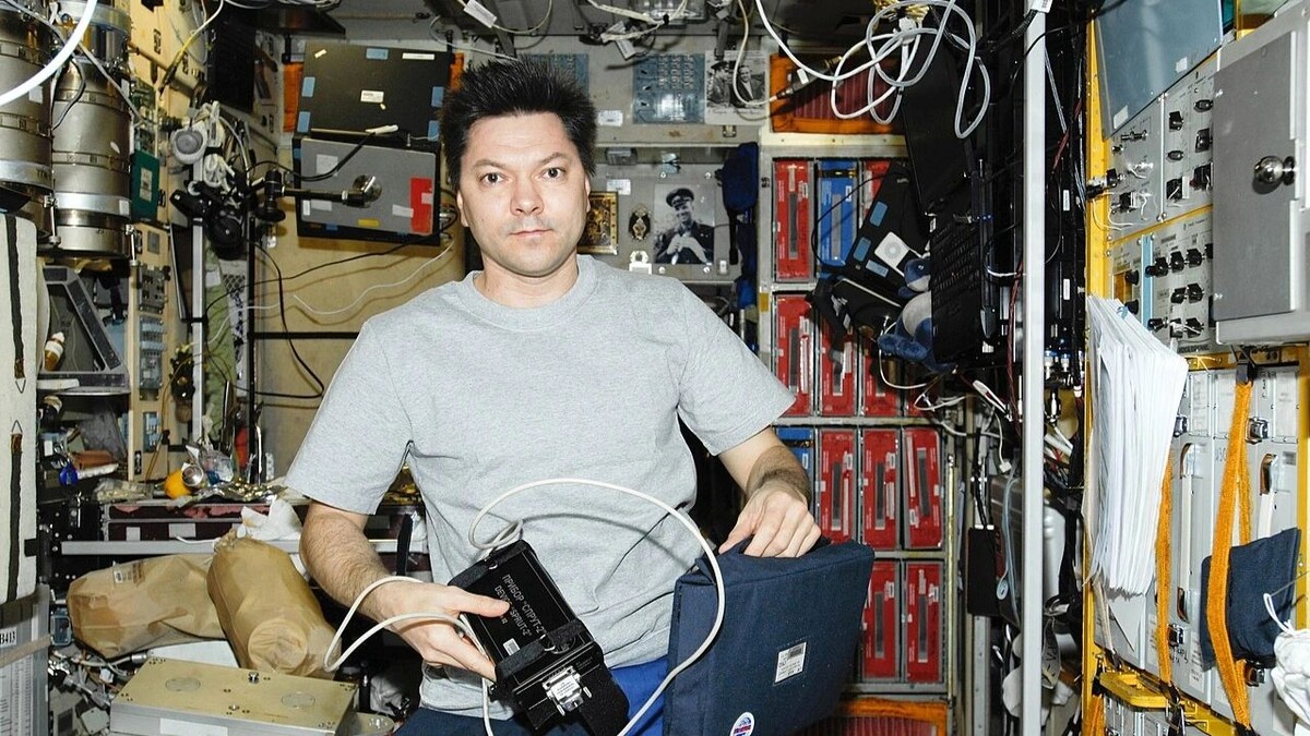    Фото: commons.wikimedia.org