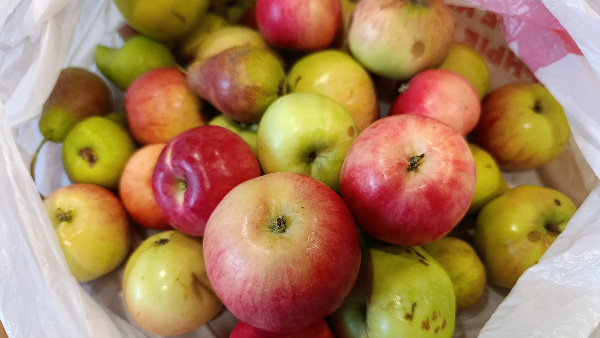 Фото: Svetlana Vozmilova/Global Look Press. Текст: Ольга Никитина