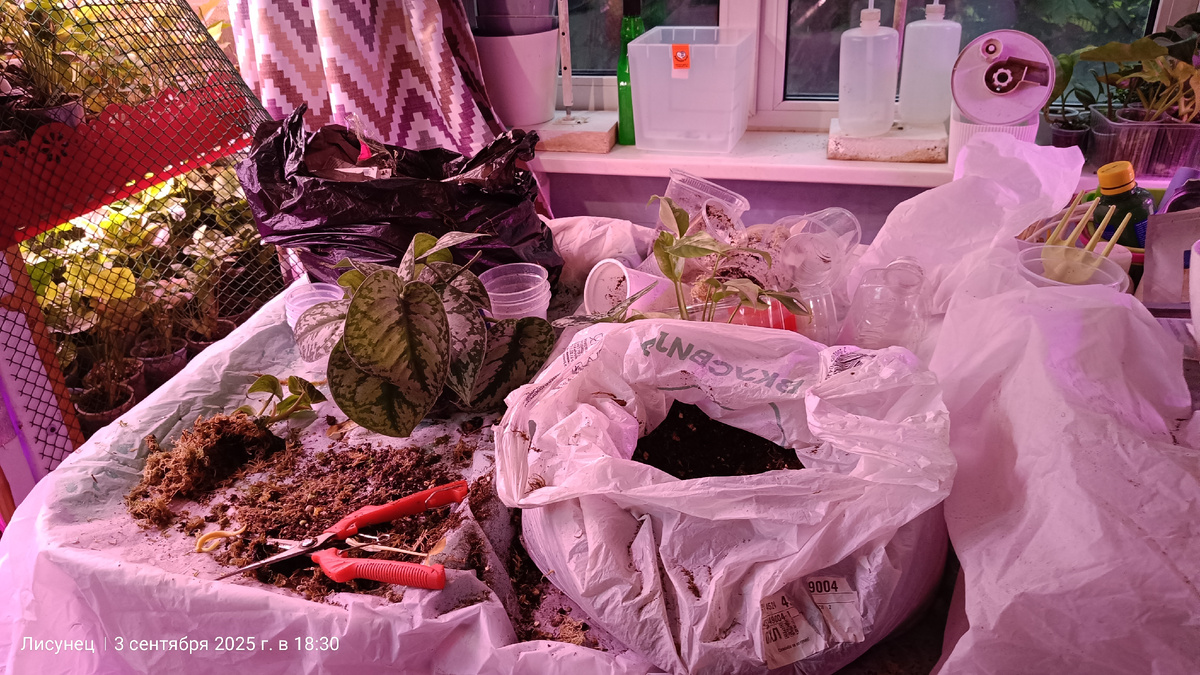 Весь стол заняла, намешала 25л грунта.