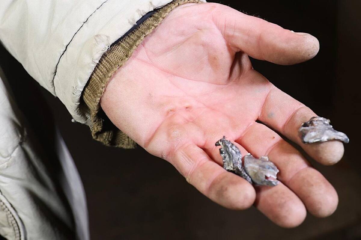    Фото: Сергей Аверин, источник: РИА Новости