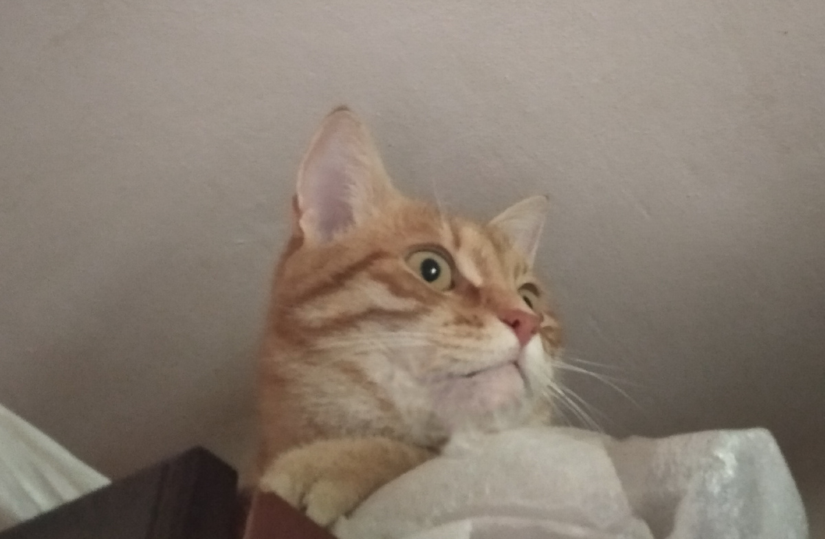 личное фото