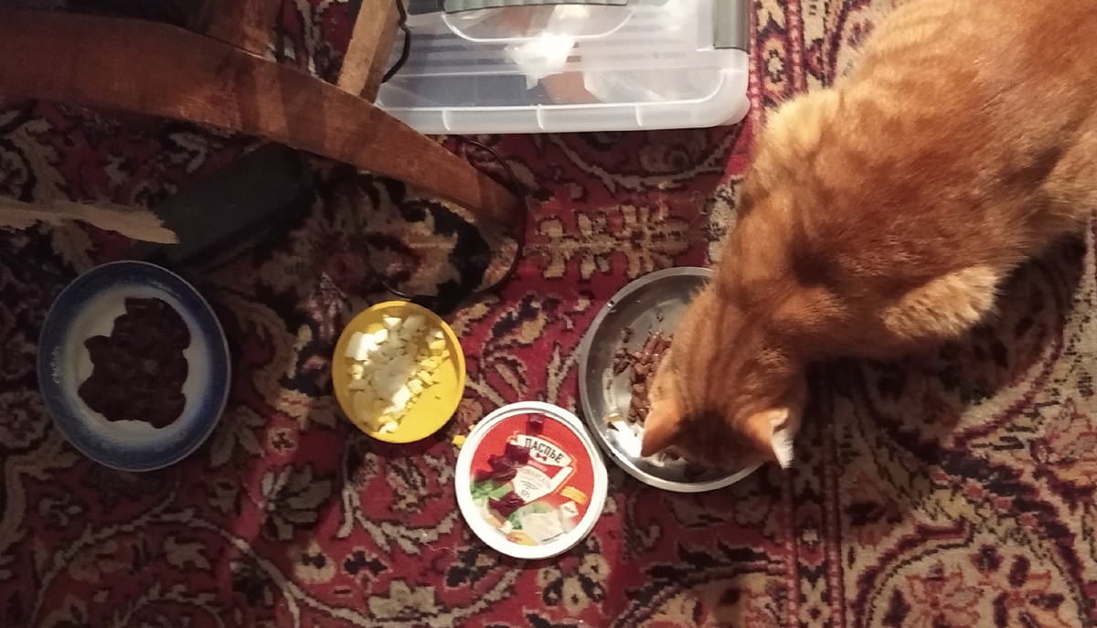 личное фото