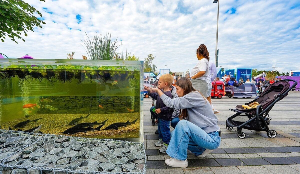     Лужники. Источник: mos.ru Автор фото: Пресс-служба Мэра и Правительства Москвы