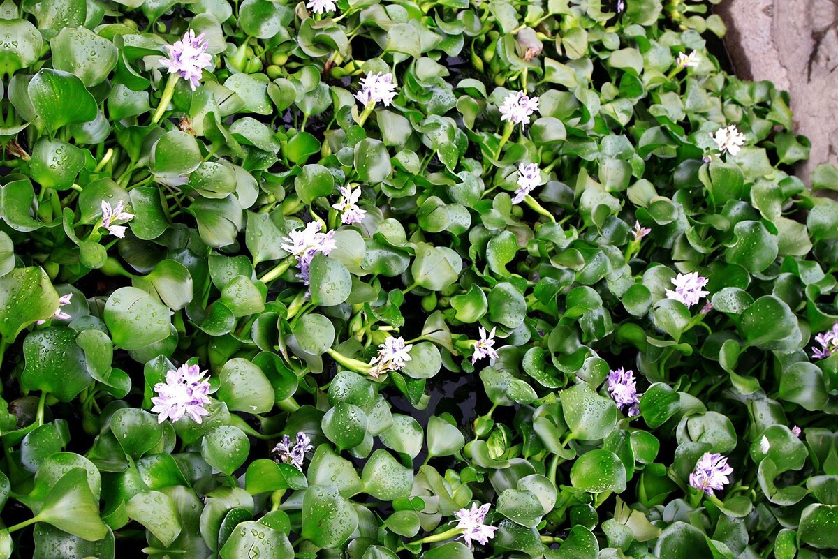    Участники «Москва 2030» в «Лужниках» узнают о процессе подготовки питьевой воды