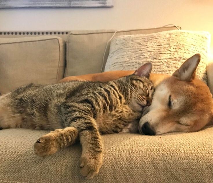 Фото из Интернета.