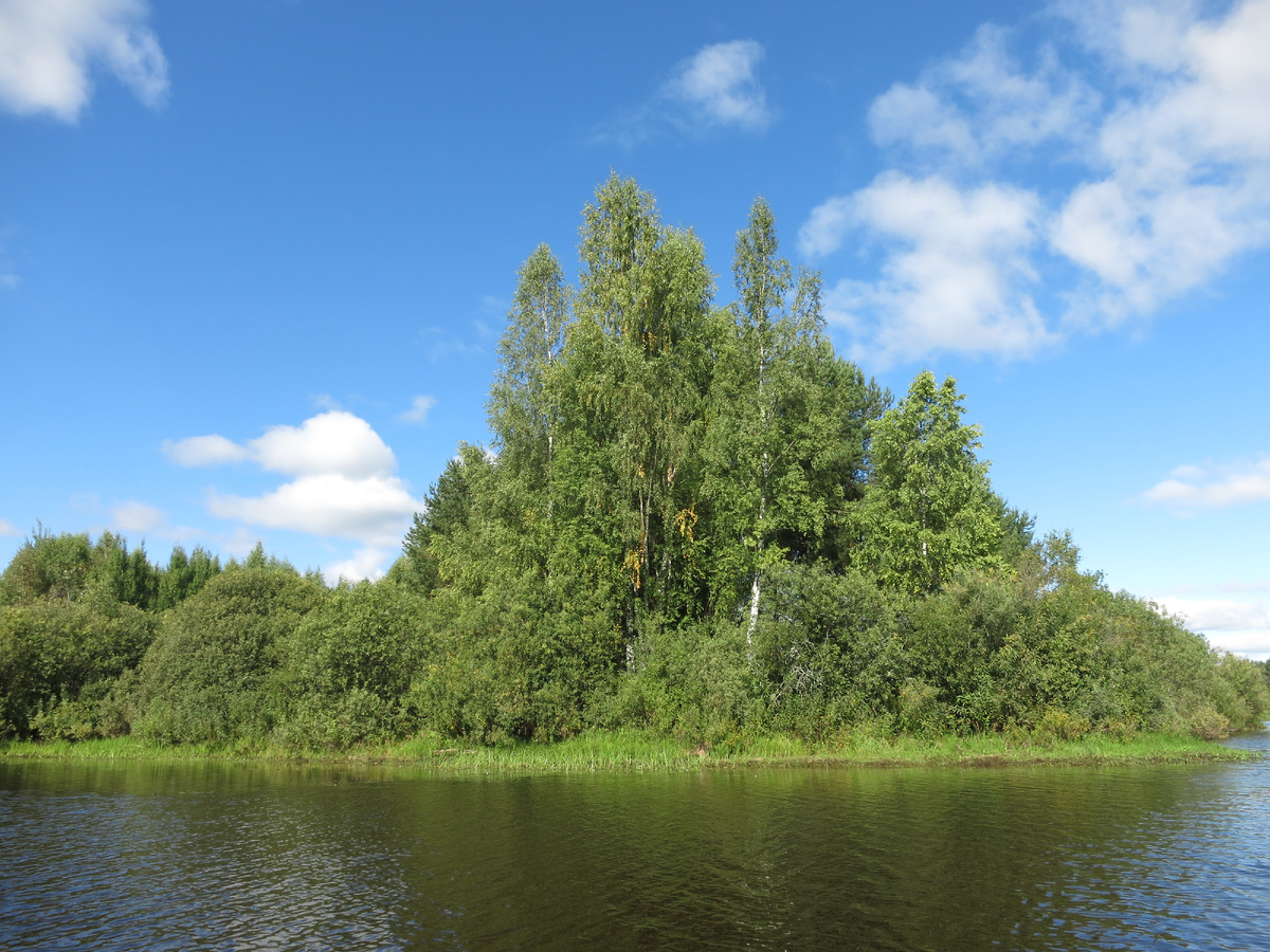 Первые желтые пряди на берёзках...