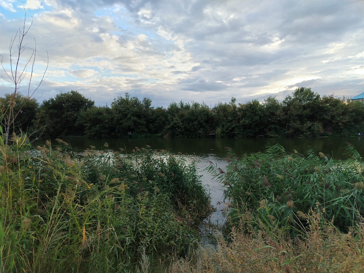 ...хотя всю жизнь я считала, что это безымянная речка