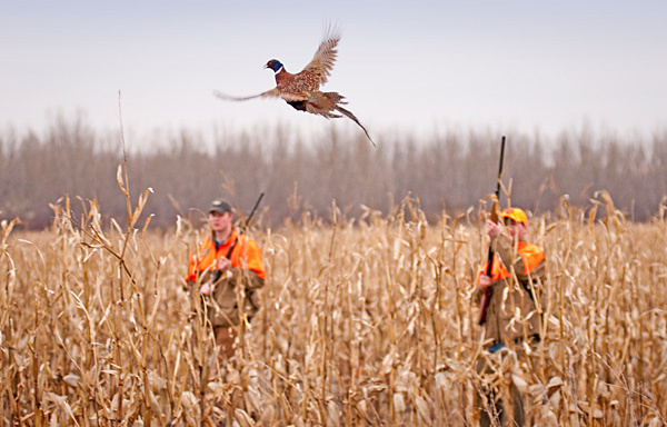    © Архив ИД «Компаньон»